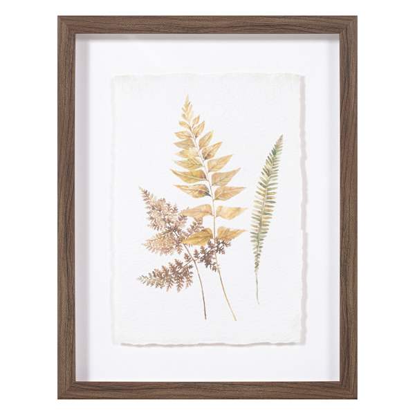 Honeybloom Glass Framed Leaf Print Wall Art, 11x14