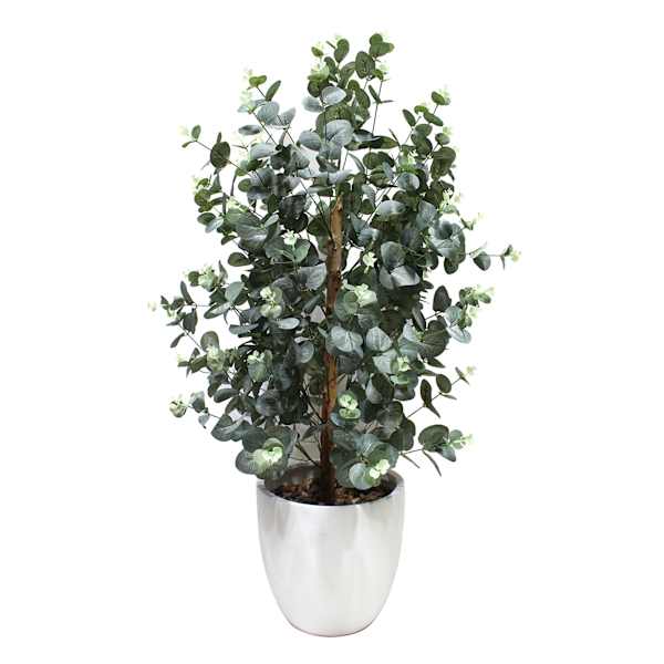 Eura in Cement Pot, 39"