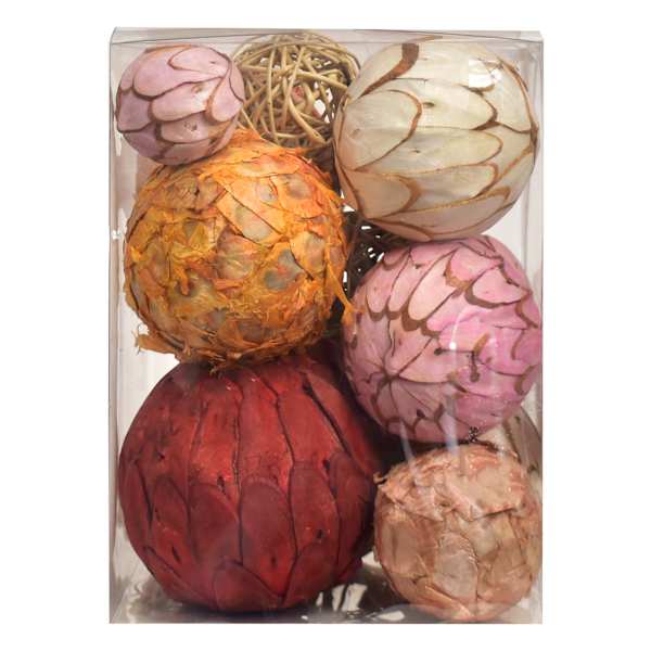 Brown Assorted Dried Orbs