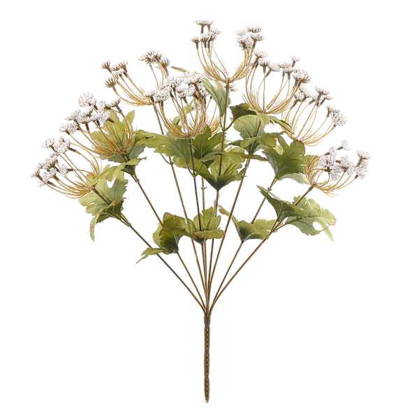 Cream Mini Queen Ann Lace Bush, 9"