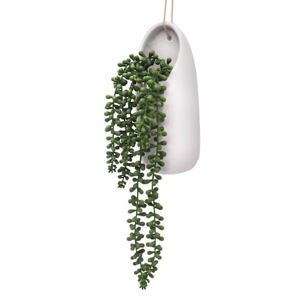 Ty Pennington Hanging Succulent in Ceramic Pot, 19"
