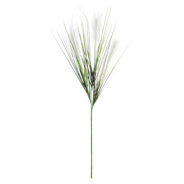 White Plume & Onion Grass Stem, 38"