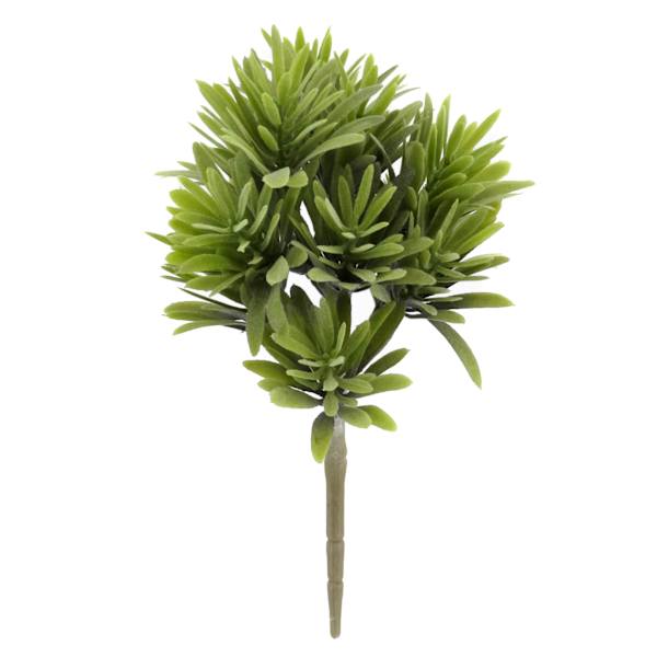 Green Jade Plant Stem, 9.5"