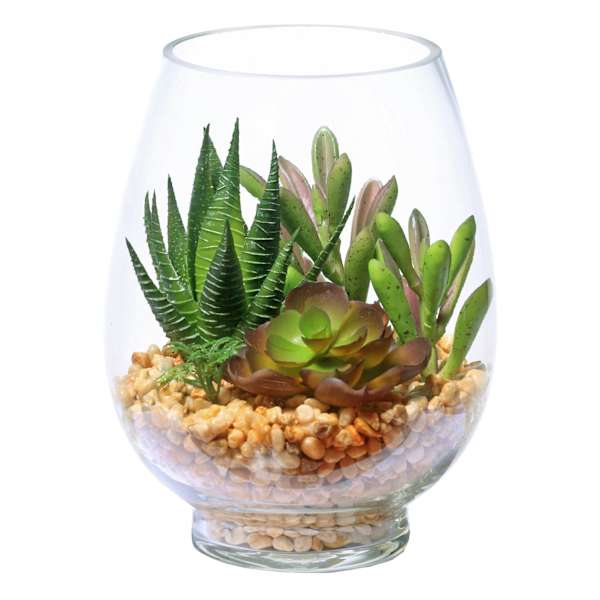Succulents in Cylinder Glass Vase, 6.5"