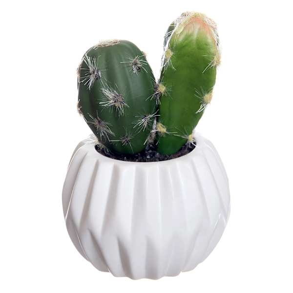 Cactus in White Ceramic Pot, 4.5"