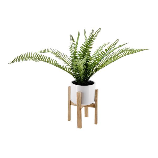 Fern in White Pot with Stand, 18"