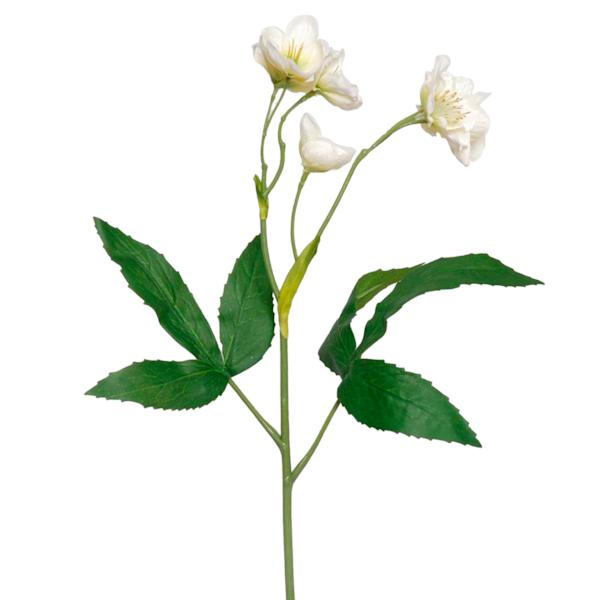 Willow Crossley White Hellebore Floral Spray, 25"