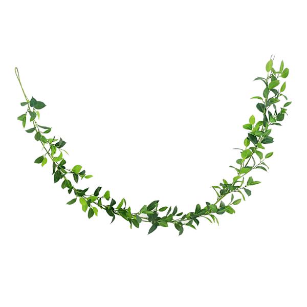 Willow Crossley Ruscus Leaf Greenery Garland, 6'