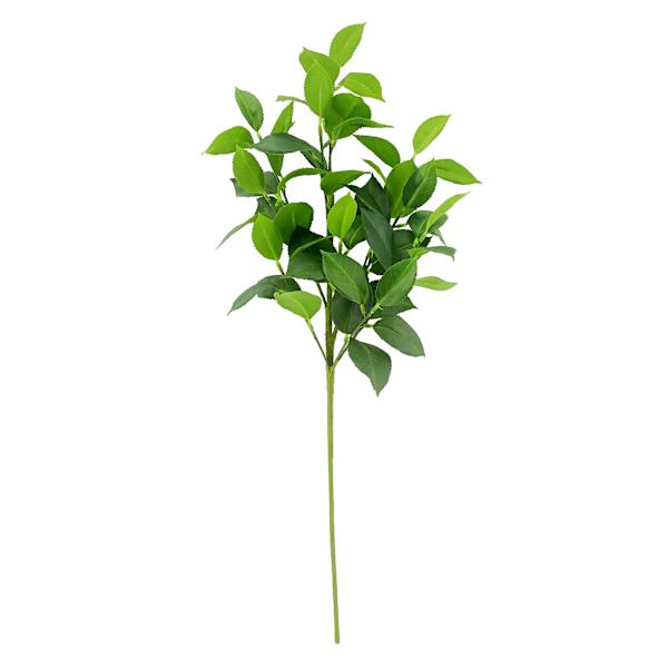 Willow Crossley Ruscus Leaf Stem, 24"