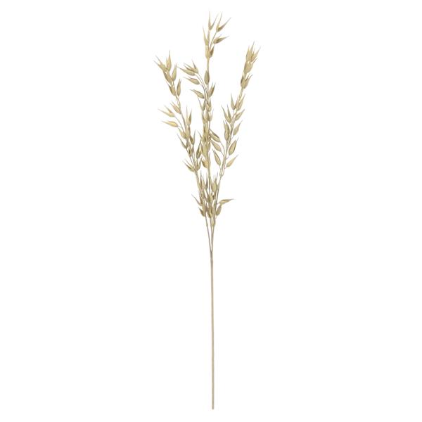 Found & Fable White Oat Stem, 31"