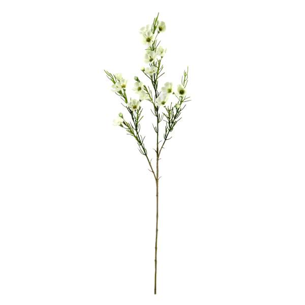 Willow Crossley White Waxflower Floral Spray, 30"