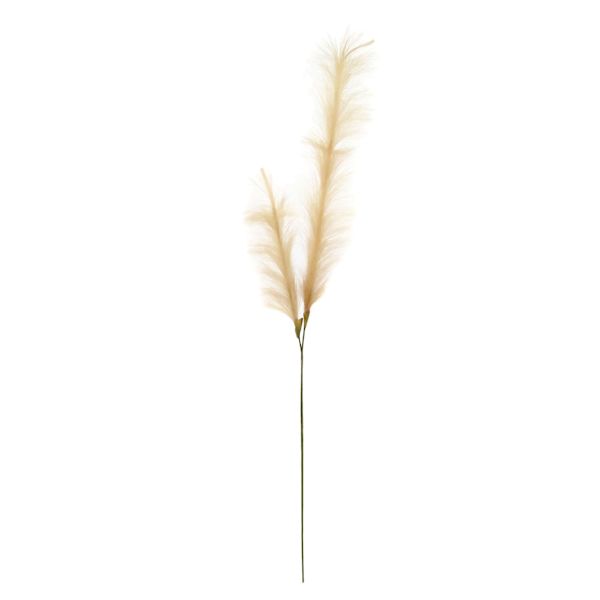 Tan Pampas Grass Spray, 49"