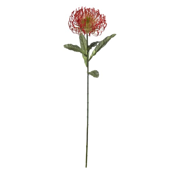 Red Protea Floral Stem, 27"