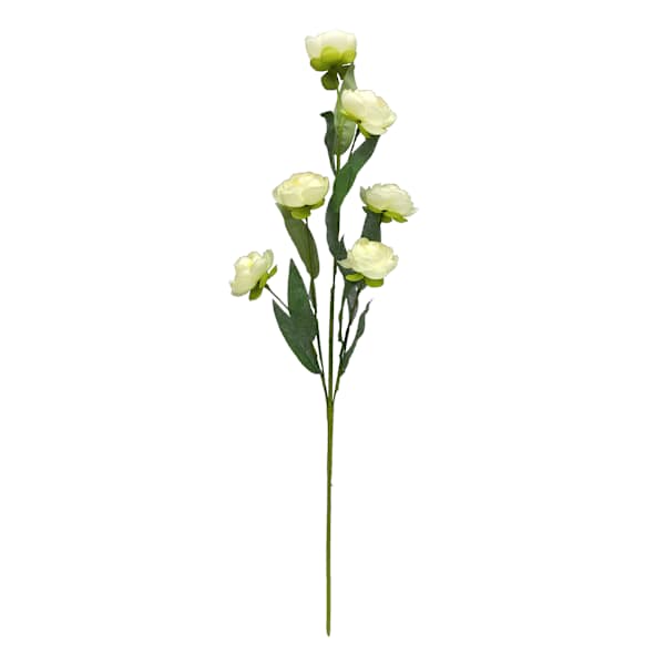 6-Bulb Cream Ranunculus Floral Spray, 31"
