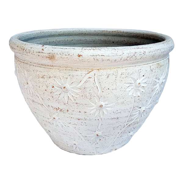 Indoor Thai Chamomile White Clay Pot, Medium