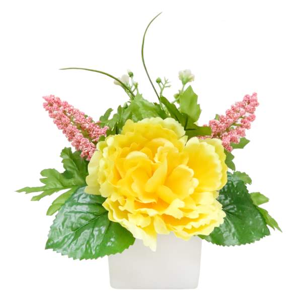 Yellow Peony in Square Ceramic Pot, 7"