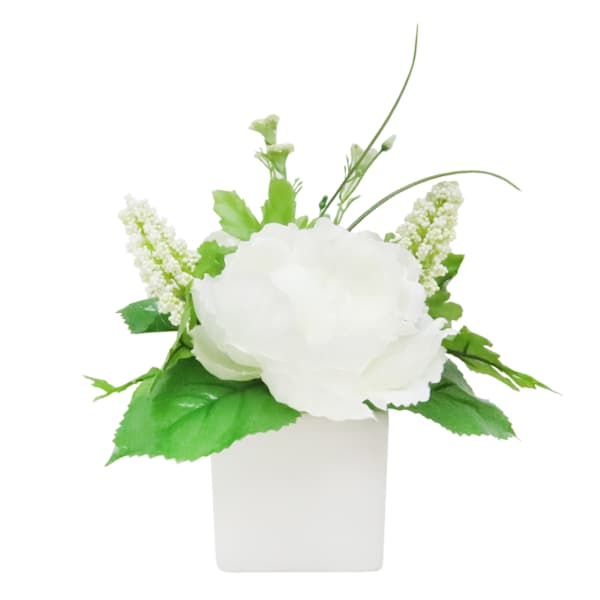 White Peony in Square Ceramic Pot, 7"