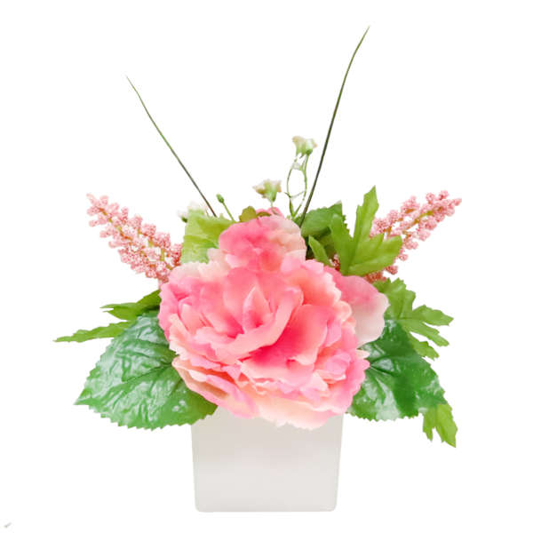 Pink Peony in Square Ceramic Pot, 7"