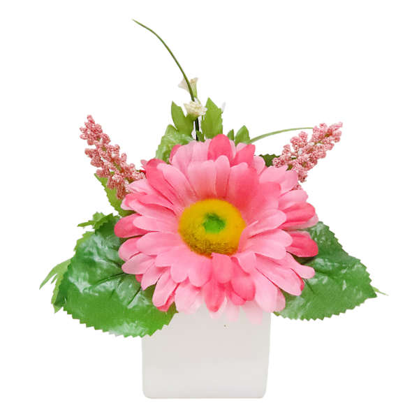 Large Pink Daisy in White Ceramic Pot, 7"