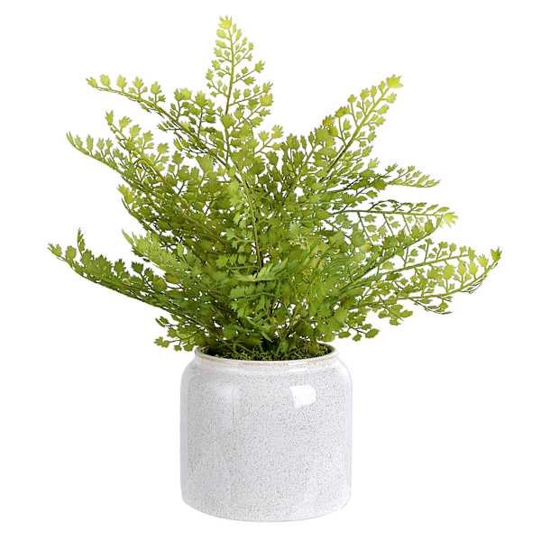 Fern Arrangement in Ceramic Pot, 15"