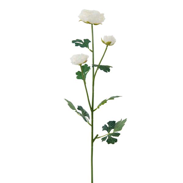 Willow Crossley White Ranunculus Floral Spray, 25"