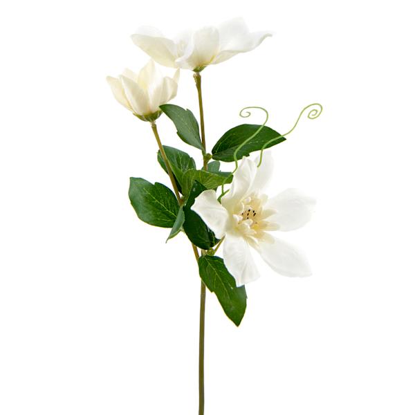 Willow Crossley White Clematis Floral Pick, 12"