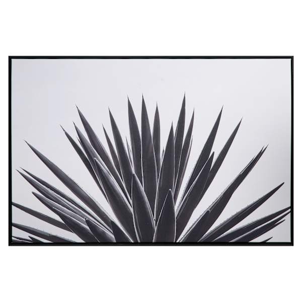 Tracey Boyd Framed Aloe Canvas Wall Art, 36x24