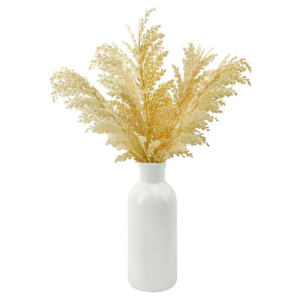 Honeybloom Pampas Grass in Ceramic Pot, 20"