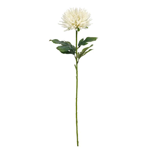Willow Crossley White Star Floral Stem, 24"