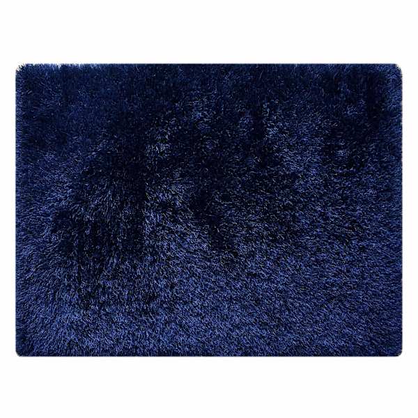 (C196) Eve Blue Shag Area Rug, 6x9