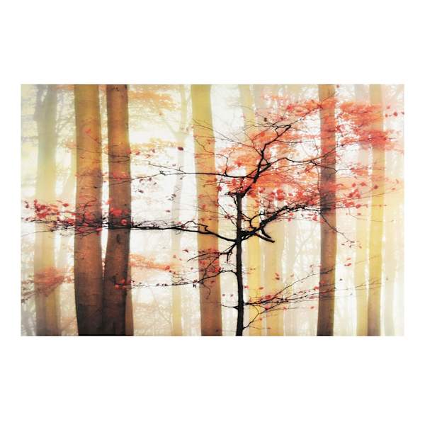 Orange Awakening Canvas Wall Art, 36x24