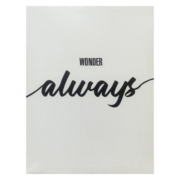 Ty Pennington Wonder Always Canvas Wall Sign, 12x16