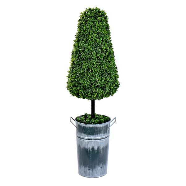 Topiary Cone Boxwood, 37"