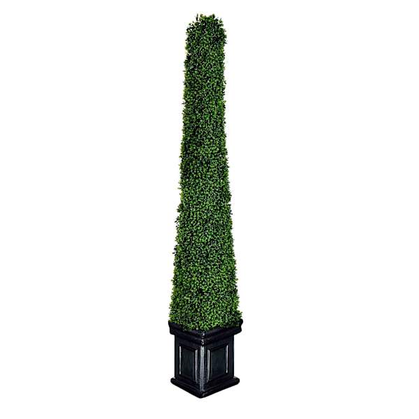 Pyramid Boxwood Topiary, 52"