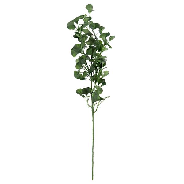 Found & Fable Gingko Leaf Spray, 34"