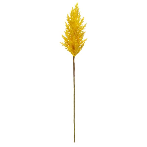 Mustard Yellow Pampas Grass Stem, 36"