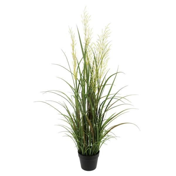 Potted Pampas Grass Bush, 45"