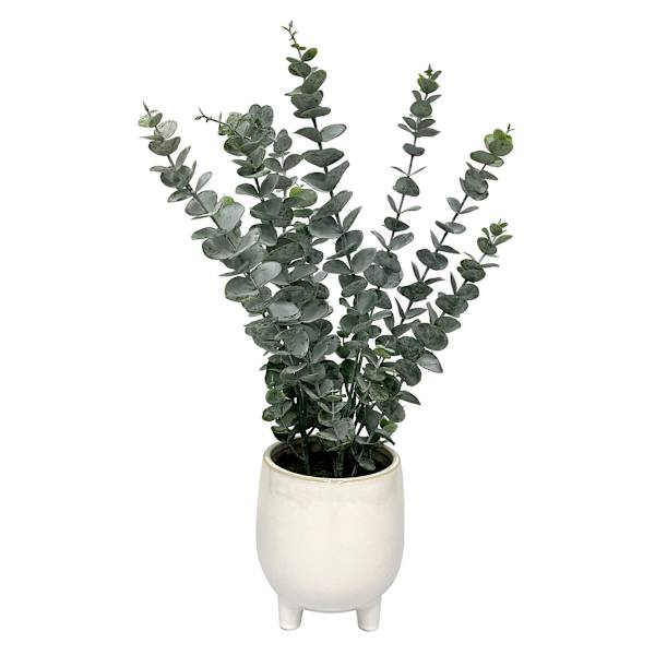 Tracey Boyd Eucalyptus in White Ceramic Pot, 19"
