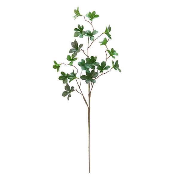 Willow Crossley Green Bell Leaves Stem, 29.5"
