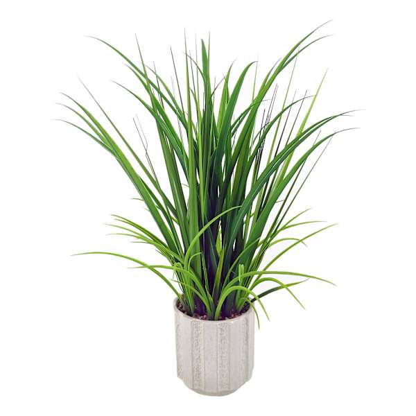 Ty Pennington Grass in Ceramic Pot, 30"