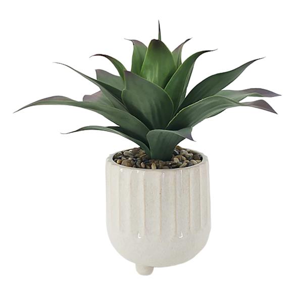 Ty Pennington Succulent in Footed Ceramic Pot, 17"