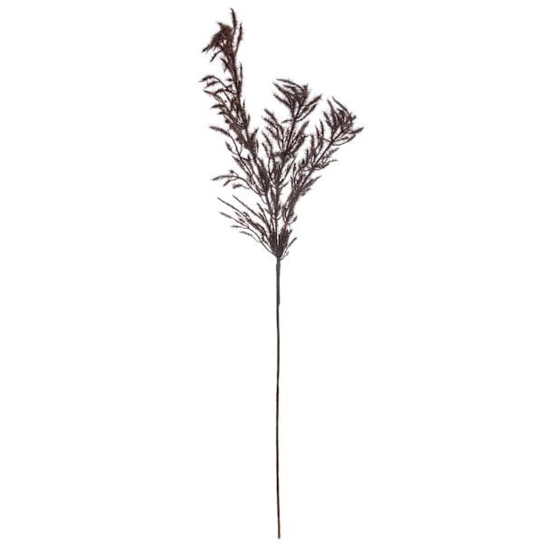 Crosby St. Maroon Pampas Grass Spray, 42"