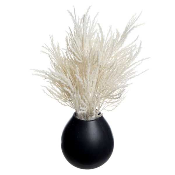 Crosby St. White Pampas Grass in Black Pot, 16"