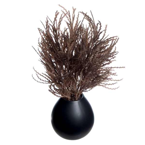 Crosby St. Dark Brown Pampas Grass in Black Pot, 16"