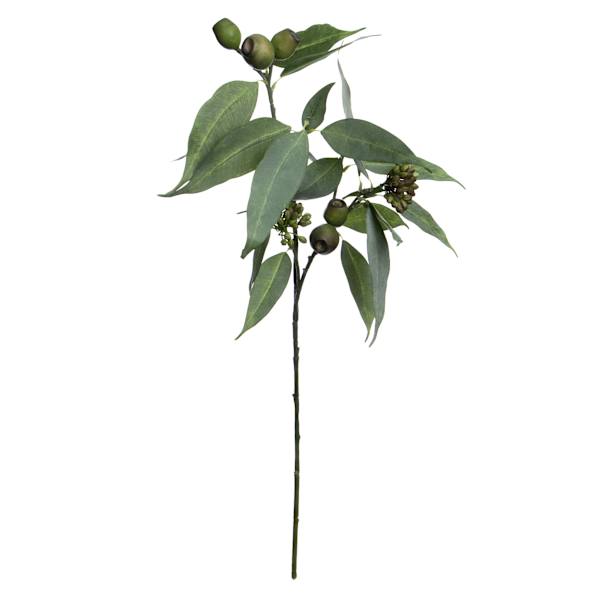 Willow Crossley Eucalyptus & Seed Spray, 32"