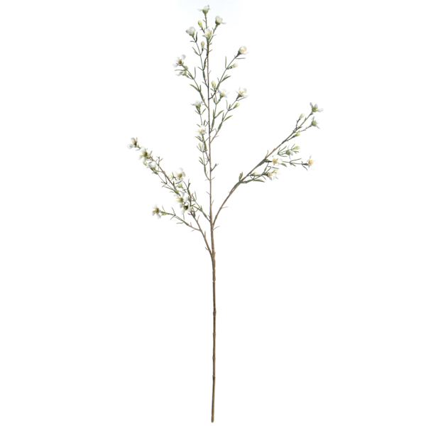 Willow Crossley White Wax Flower Spray, 30"