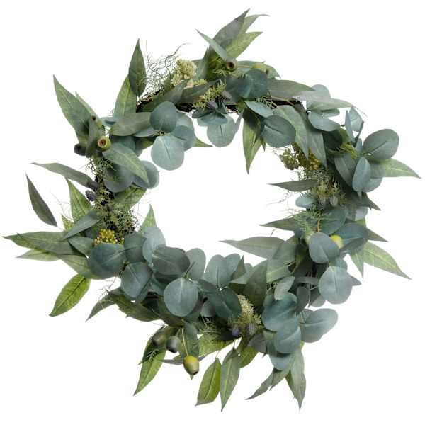 Willow Crossley Eucalyptus & Thistle Wreath, 24"