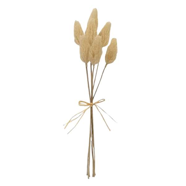 Honeybloom Cream Bunny Tail Bundle, 7"