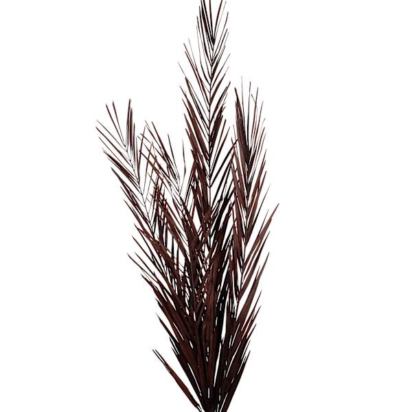 Crosby St. Black Mahogany Leaves, 30"