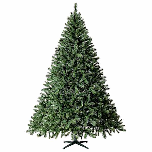 (B11) Unlit Nordmann Fir Christmas Tree, 7.5'